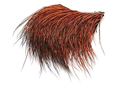 PECCARY PATCH hotfly
