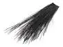 PECCARY PATCH hotfly