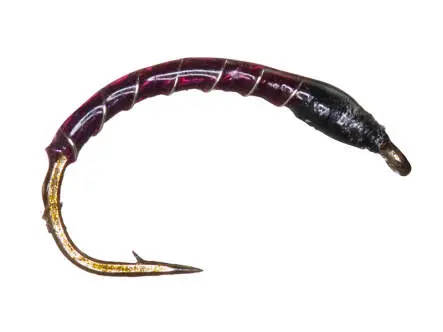 Renken Hegene - Fluorocar. 0,18 mm - EVO BLACK PURPLE + SILVER RIB 16