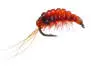 Body Glass Gammarus Red 16
