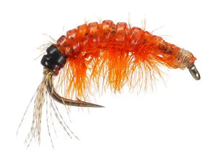 Body Glass Gammarus Orange 14