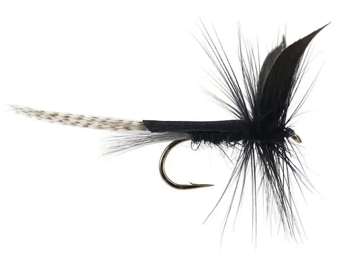 Black Mayfly Dun 10
