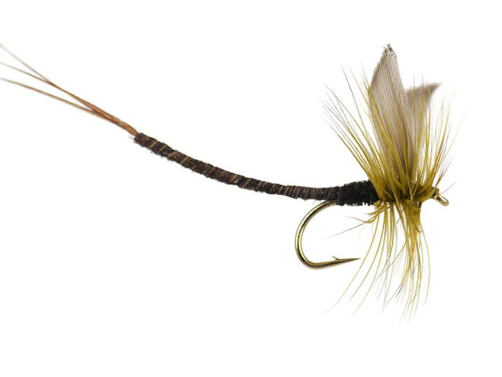 Olive Quill Extended Body Mayfly 10