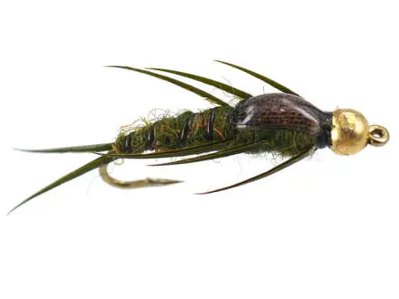 Bead Head Olive Epoxy Stonefly 8