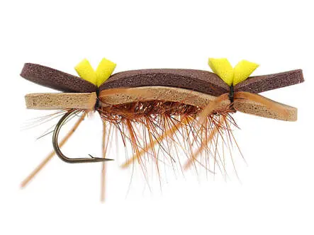 Tonis Bright Brown Superb Chernobyl Ant 8