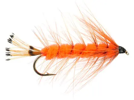 Fluorange Seatrout Catcher 4