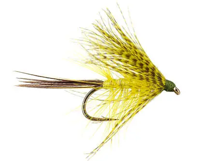 Olive Hackled Mayfly 10