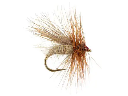 Cinnamon Caddis