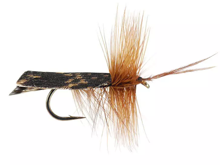 Dark Brown Horned Roof Wing