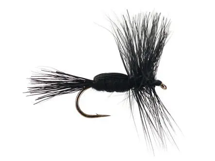 Black Humpy