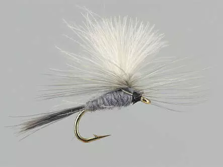 CDC Parachute Grey
