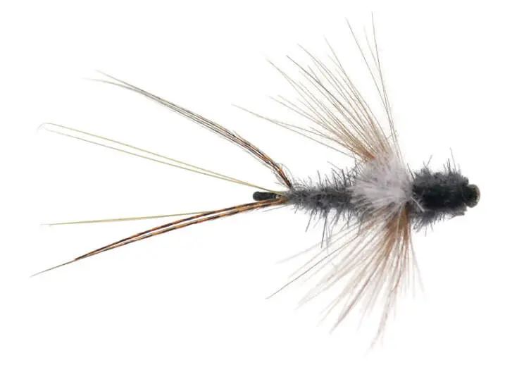 Dark Dun CDC