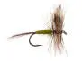 Adams Olive