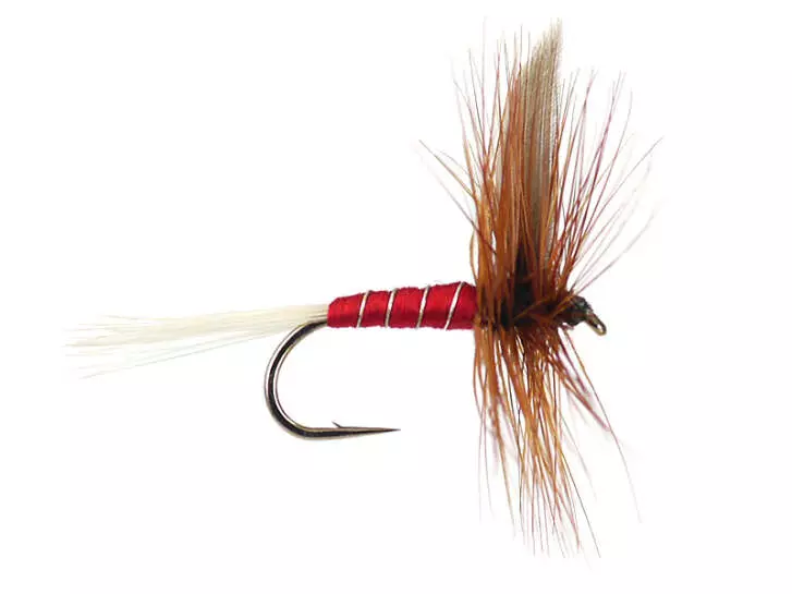 Red Spinner