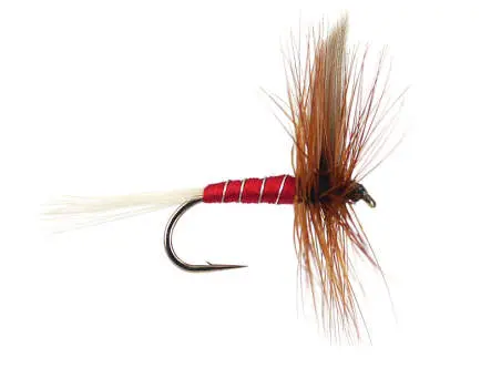 Red Spinner