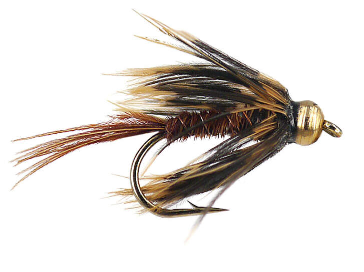 Pheasent Soft Hackle