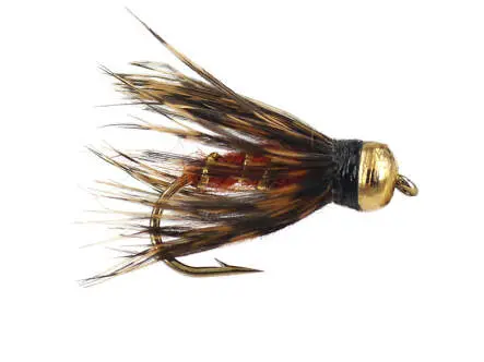 Caddis Pupa Brown