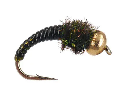Dark Caddis Larva