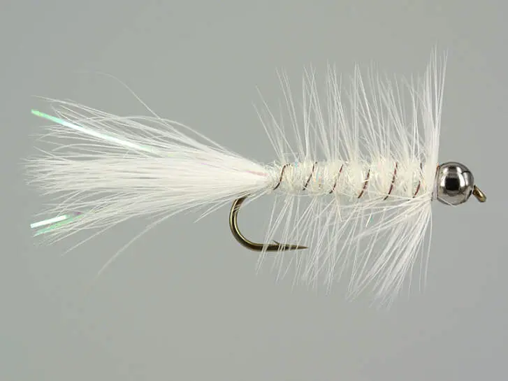 W.B. Bright White Competition