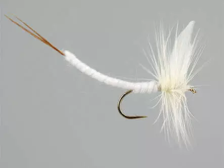 White Extended Body Mayfly