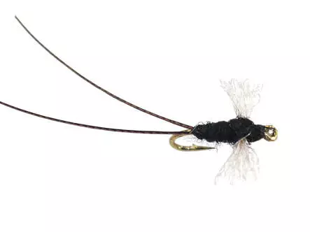 Tricorythodes Dun