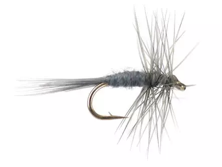 Midge Dun