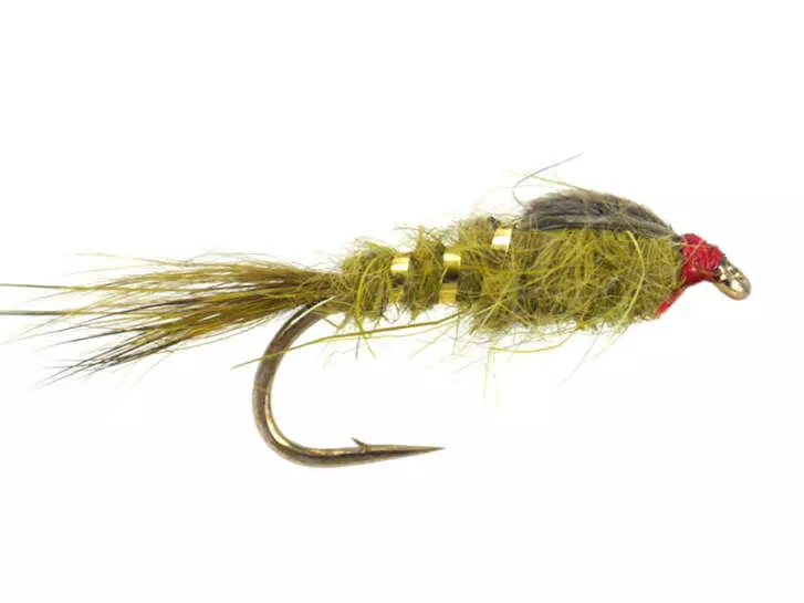 Olive G.R. Hares Ear Wtd