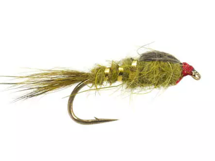 Olive G.R. Hares Ear Wtd