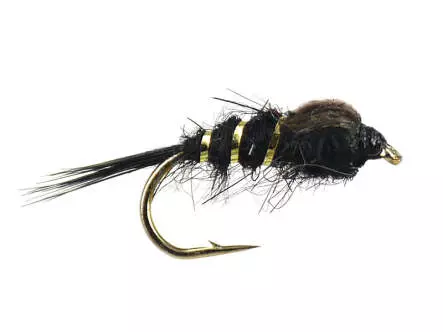 Hares Ear Black