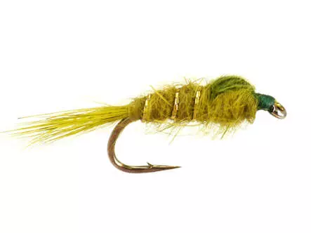 Hares Ear Olive