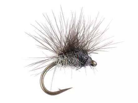 Paraloop Dark Hendrickson