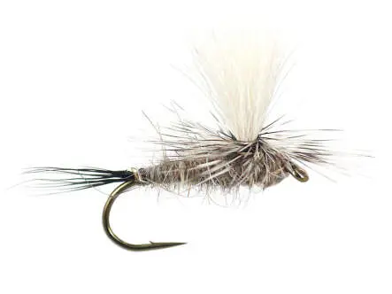 Hares Ear Parachute Superb