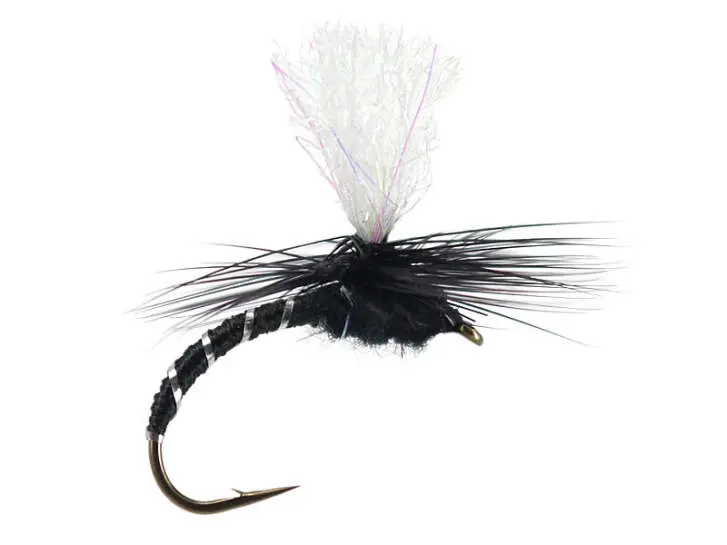 Klinkhammer Black