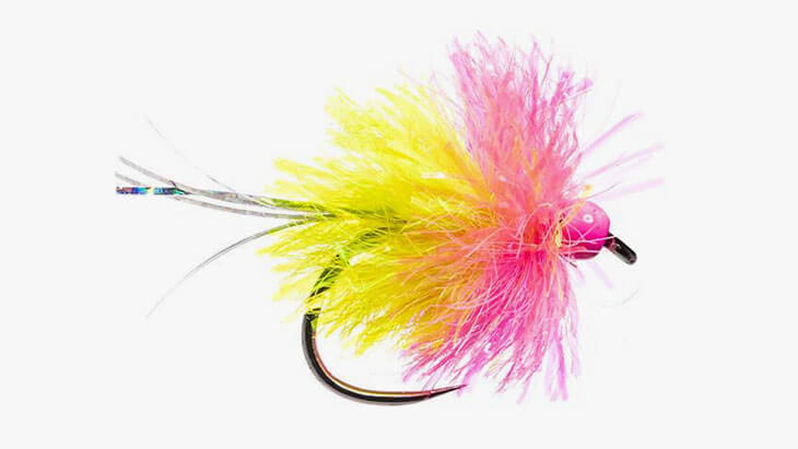 Blob gelb pink Kopfperle Flash widerhakenlos Stillwasser Fliegenfischen Fliegenmuster